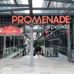 The Promenade @ Pelikat (D19), Shop House #376845091